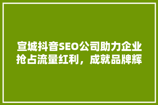 宣城抖音SEO公司助力企业抢占流量红利，成就品牌辉煌