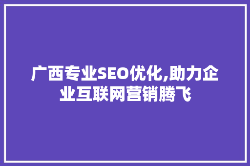 广西专业SEO优化,助力企业互联网营销腾飞