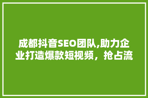 成都抖音SEO团队,助力企业打造爆款短视频，抢占流量高地