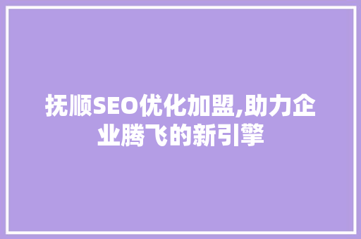 抚顺SEO优化加盟,助力企业腾飞的新引擎