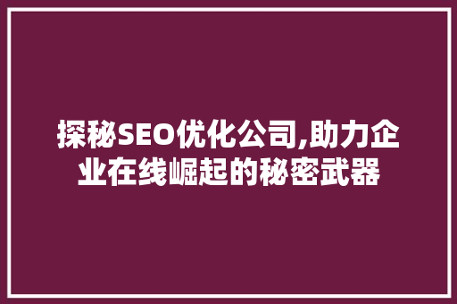 探秘SEO优化公司,助力企业在线崛起的秘密武器