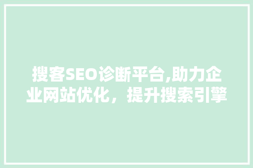 搜客SEO诊断平台,助力企业网站优化，提升搜索引擎排名  第1张