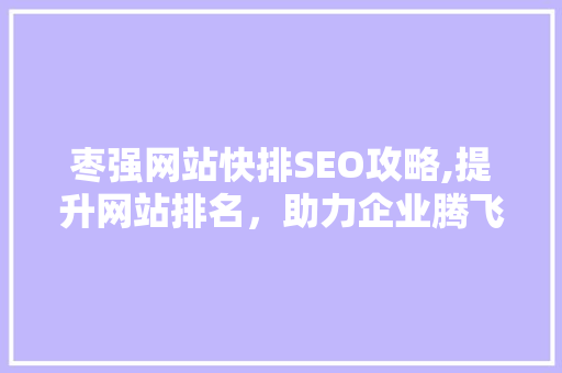 枣强网站快排SEO攻略,提升网站排名，助力企业腾飞
