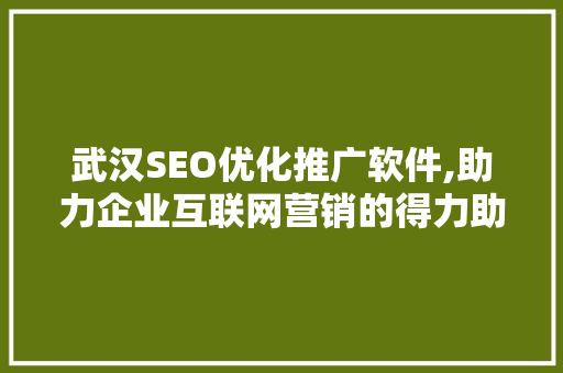 武汉SEO优化推广软件,助力企业互联网营销的得力助手