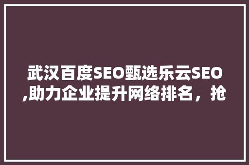武汉百度SEO甄选乐云SEO,助力企业提升网络排名，抢占市场先机  第1张