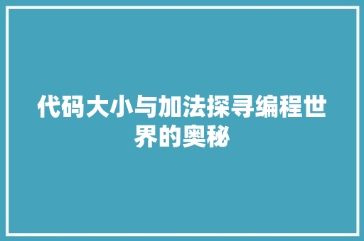 代码大小与加法探寻编程世界的奥秘