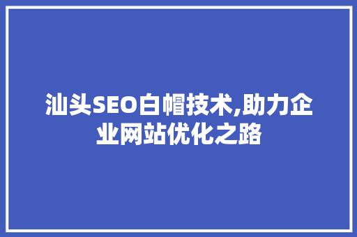 汕头SEO白帽技术,助力企业网站优化之路