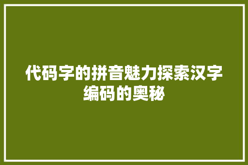 代码字的拼音魅力探索汉字编码的奥秘