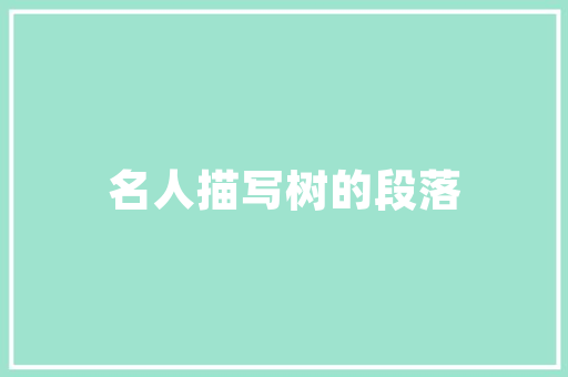 海南SEO优化服务电话,助力企业网络营销的得力助手
