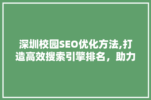 深圳校园SEO优化方法,打造高效搜索引擎排名，助力校园品牌腾飞