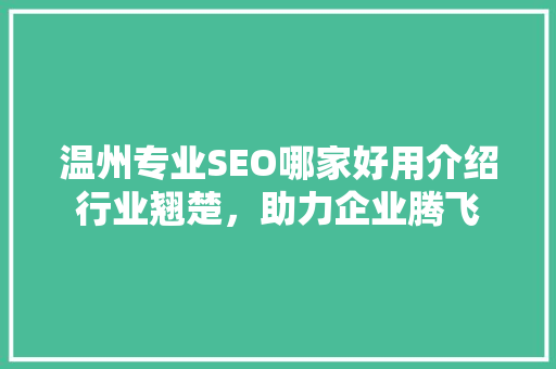 温州专业SEO哪家好用介绍行业翘楚，助力企业腾飞