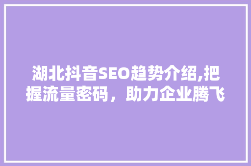 湖北抖音SEO趋势介绍,把握流量密码，助力企业腾飞