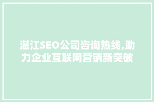 湛江SEO公司咨询热线,助力企业互联网营销新突破