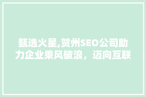 甄选火星,贺州SEO公司助力企业乘风破浪，迈向互联网巅峰