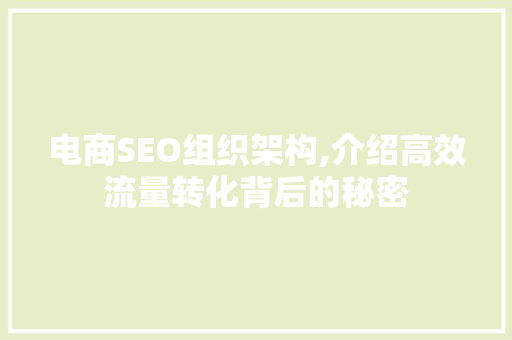 电商SEO组织架构,介绍高效流量转化背后的秘密