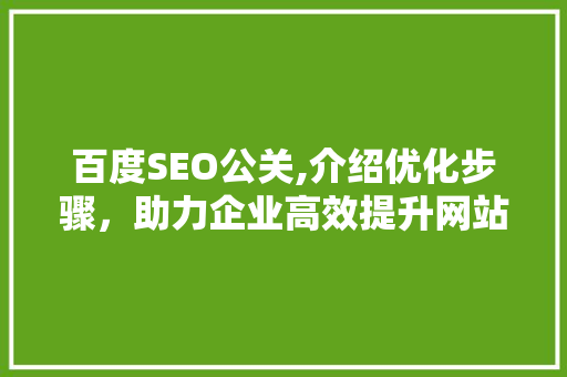 百度SEO公关,介绍优化步骤，助力企业高效提升网站排名