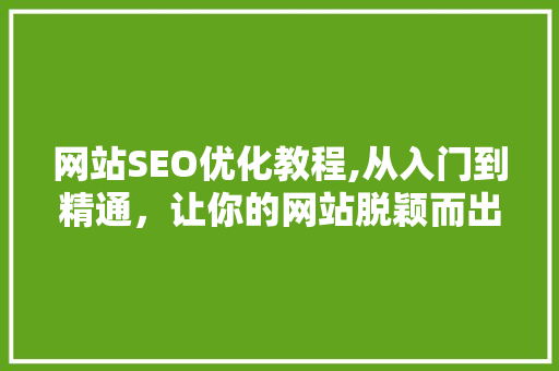 网站SEO优化教程,从入门到精通，让你的网站脱颖而出  第1张