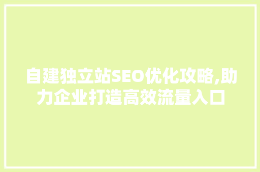 自建独立站SEO优化攻略,助力企业打造高效流量入口