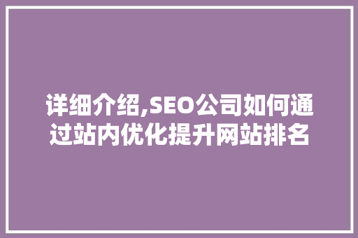 详细介绍,SEO公司如何通过站内优化提升网站排名