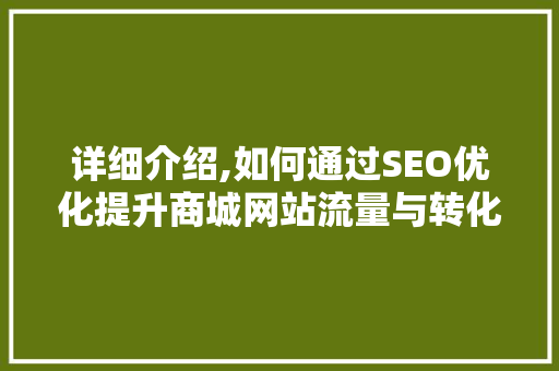 详细介绍,如何通过SEO优化提升商城网站流量与转化率