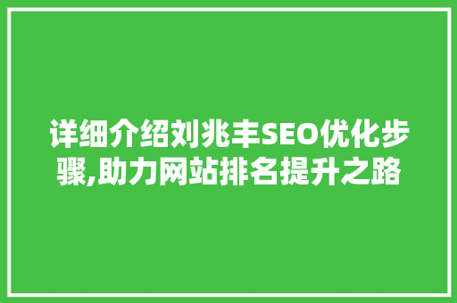 详细介绍刘兆丰SEO优化步骤,助力网站排名提升之路