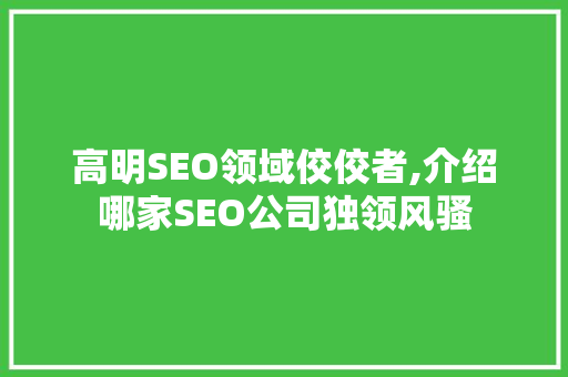 高明SEO领域佼佼者,介绍哪家SEO公司独领风骚  第1张