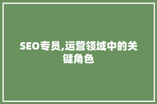 SEO专员,运营领域中的关键角色
