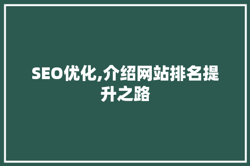 SEO优化,介绍网站排名提升之路