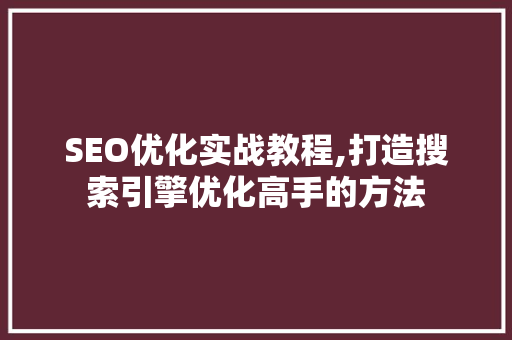 SEO优化实战教程,打造搜索引擎优化高手的方法  第1张