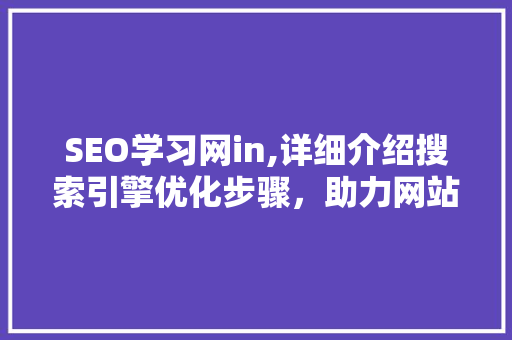 SEO学习网in,详细介绍搜索引擎优化步骤，助力网站提升排名