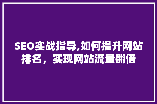 SEO实战指导,如何提升网站排名，实现网站流量翻倍