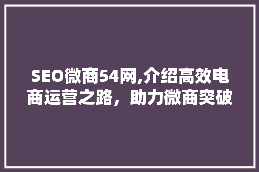 SEO微商54网,介绍高效电商运营之路，助力微商突破困境