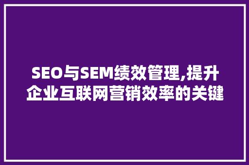 SEO与SEM绩效管理,提升企业互联网营销效率的关键步骤