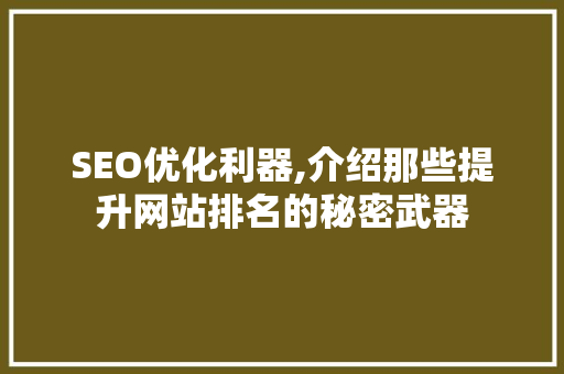 SEO优化利器,介绍那些提升网站排名的秘密武器