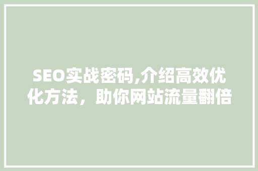 SEO实战密码,介绍高效优化方法，助你网站流量翻倍！