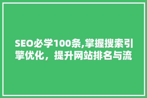 SEO必学100条,掌握搜索引擎优化，提升网站排名与流量  第1张