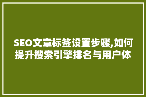 SEO文章标签设置步骤,如何提升搜索引擎排名与用户体验