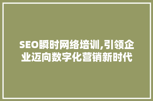 SEO瞬时网络培训,引领企业迈向数字化营销新时代