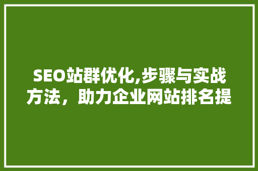 SEO站群优化,步骤与实战方法，助力企业网站排名提升