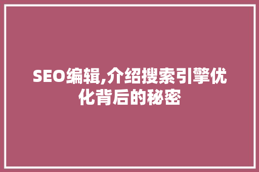 SEO编辑,介绍搜索引擎优化背后的秘密