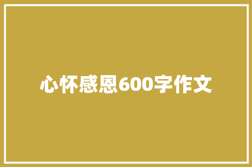 SEO设置,网站后台优化之路
