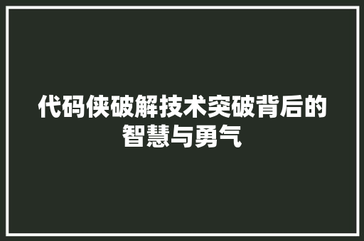 代码侠破解技术突破背后的智慧与勇气