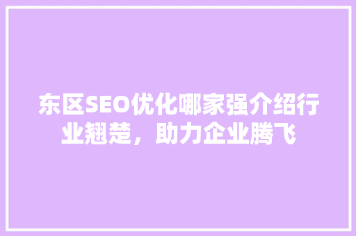 东区SEO优化哪家强介绍行业翘楚，助力企业腾飞