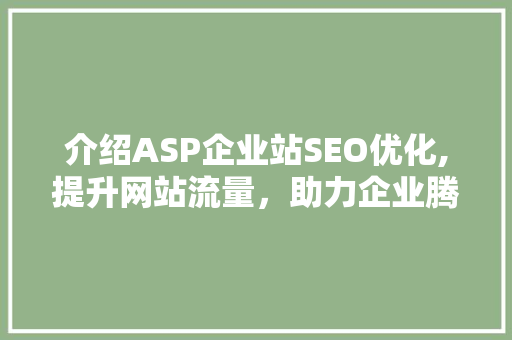 介绍ASP企业站SEO优化,提升网站流量，助力企业腾飞