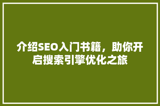 介绍SEO入门书籍，助你开启搜索引擎优化之旅