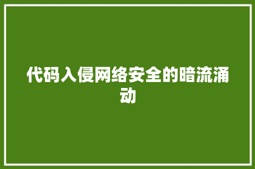 代码入侵网络安全的暗流涌动