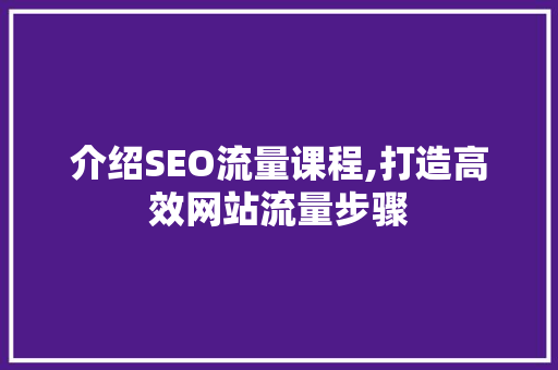 介绍SEO流量课程,打造高效网站流量步骤  第1张