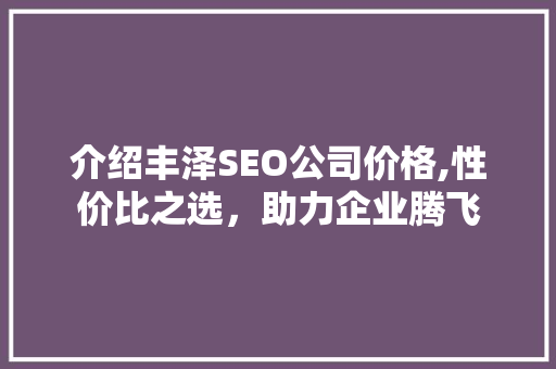 介绍丰泽SEO公司价格,性价比之选，助力企业腾飞  第1张