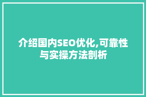 介绍国内SEO优化,可靠性与实操方法剖析