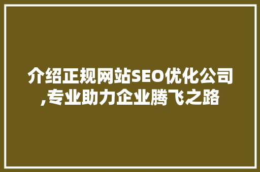 介绍正规网站SEO优化公司,专业助力企业腾飞之路  第1张